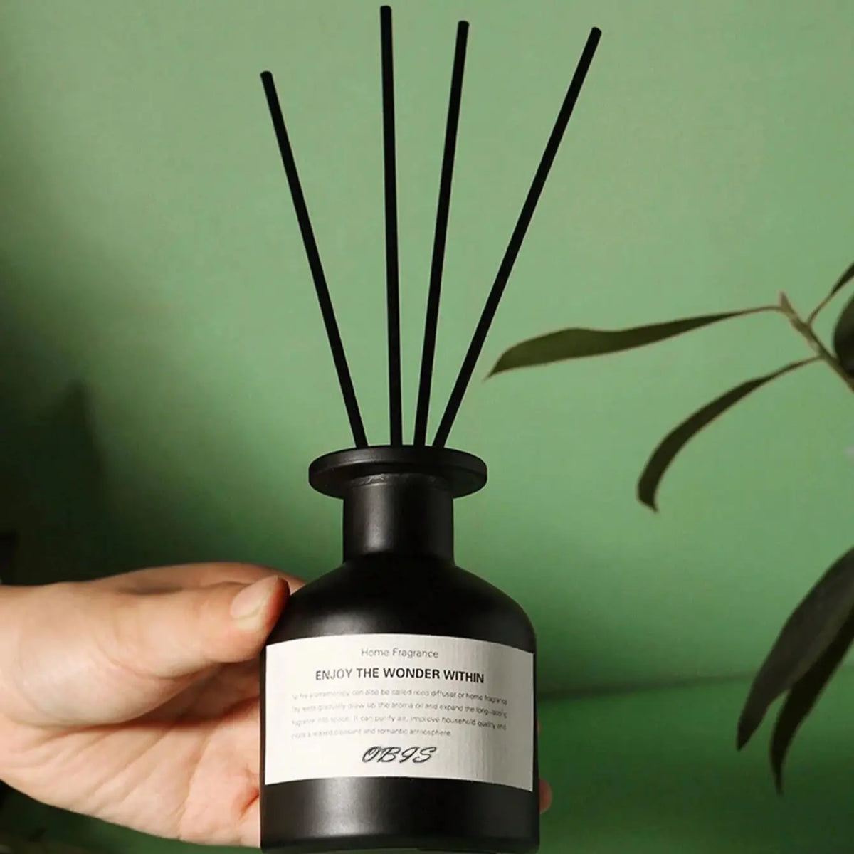 50ml Reed Diffuser | Flameless Home Fragrance Oil with Black Reed Sticks